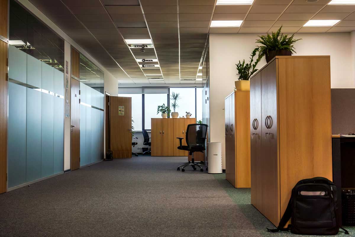 carpet cleaning services