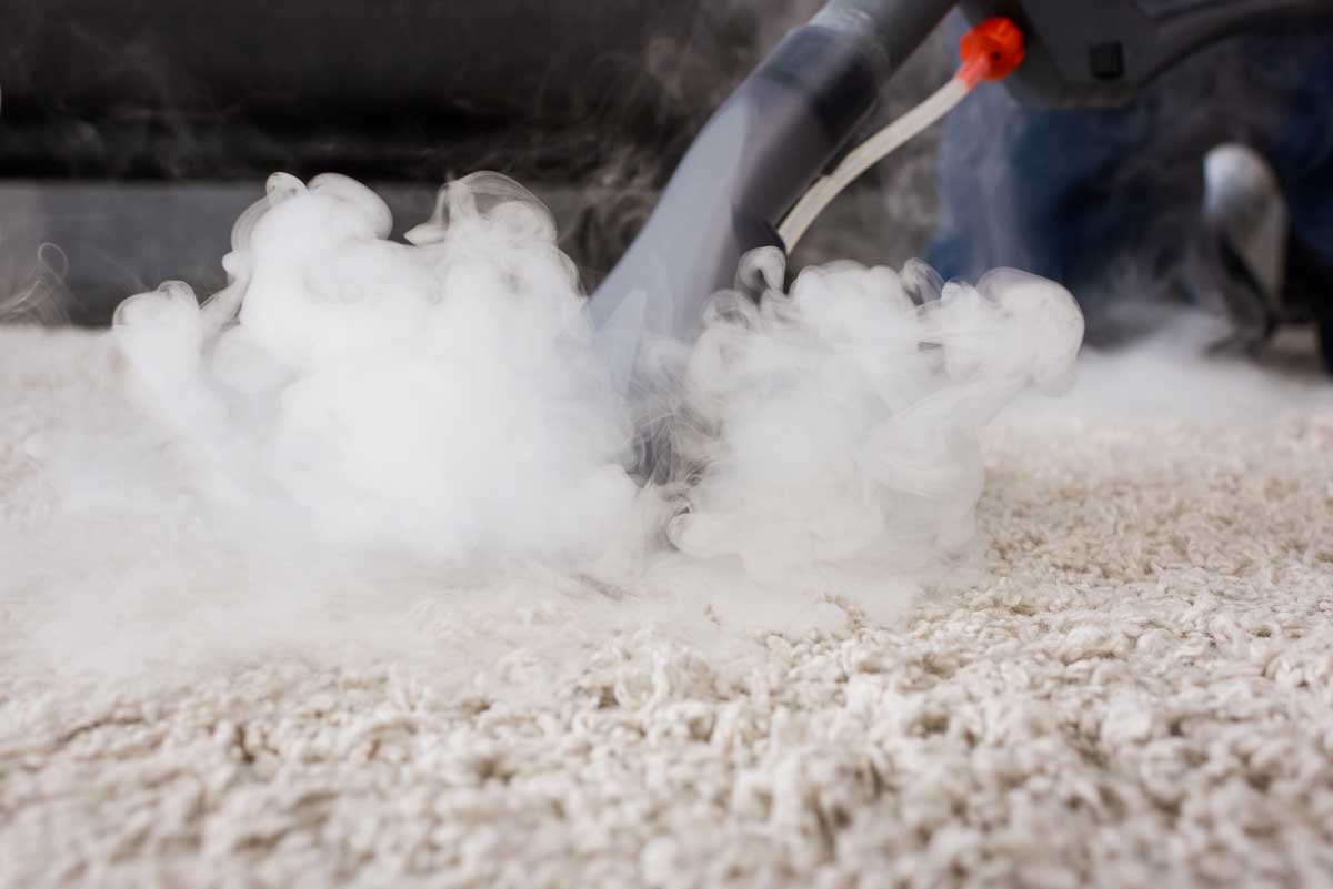 Rug Cleaning Servies